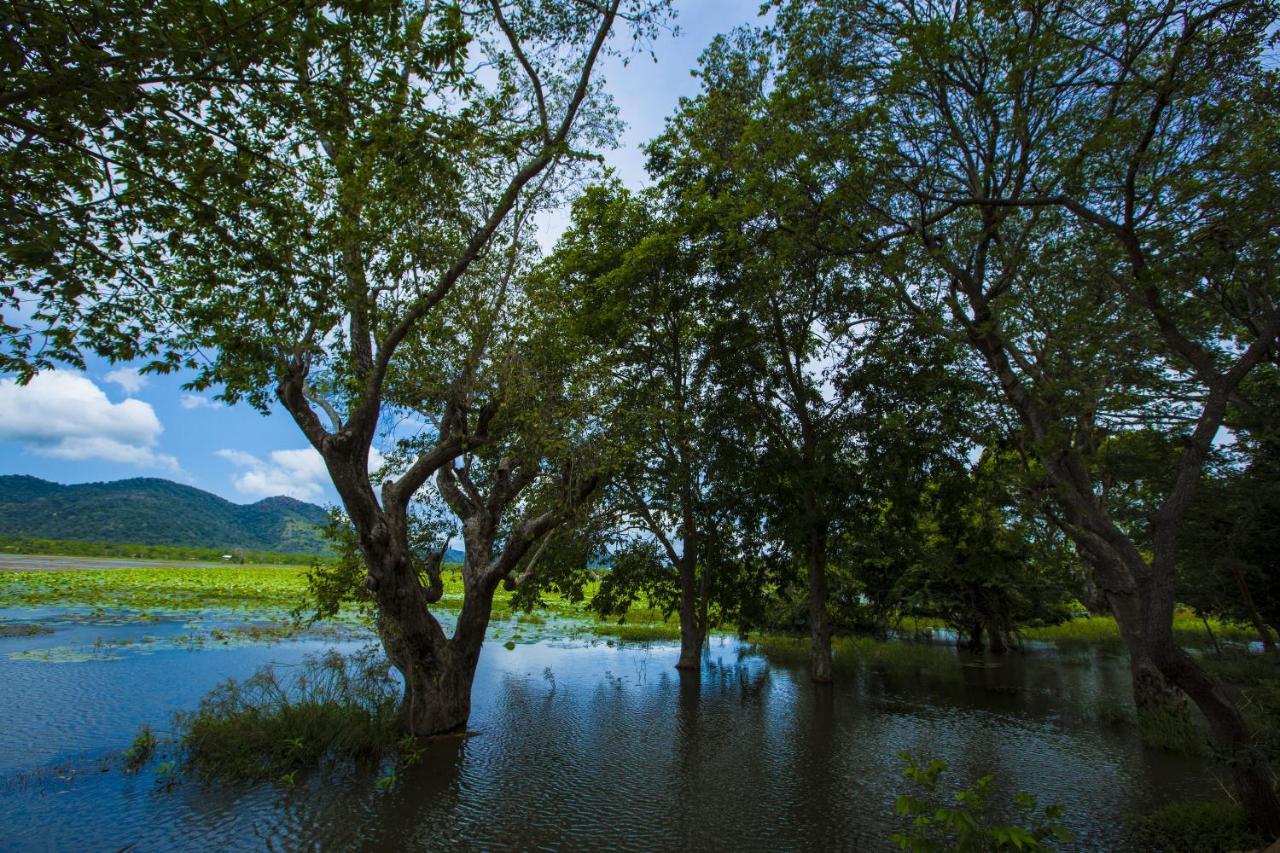 Grand Tamarind Lake Kataragama Bagian luar foto